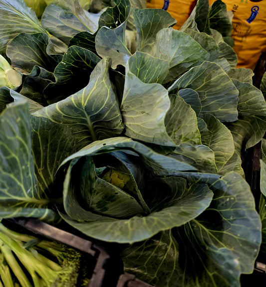 Cabbage Greens