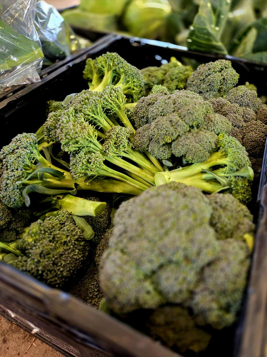 Broccoli